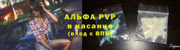 прущие грибы Солнечногорск